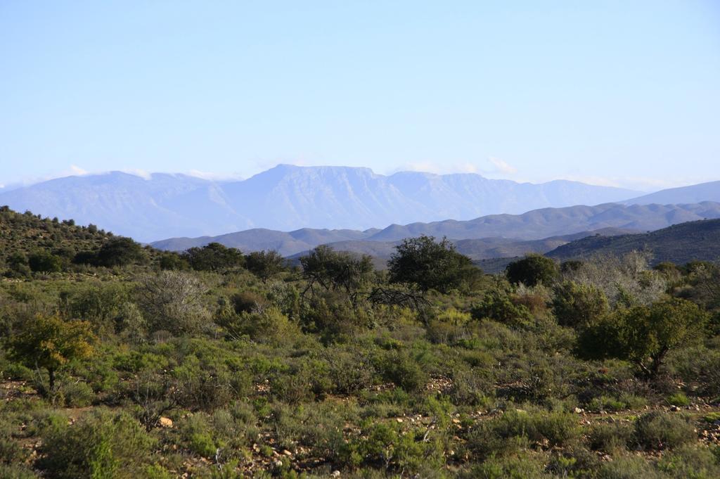 Wolverfontein Karoo Cottages Ladismith Zewnętrze zdjęcie